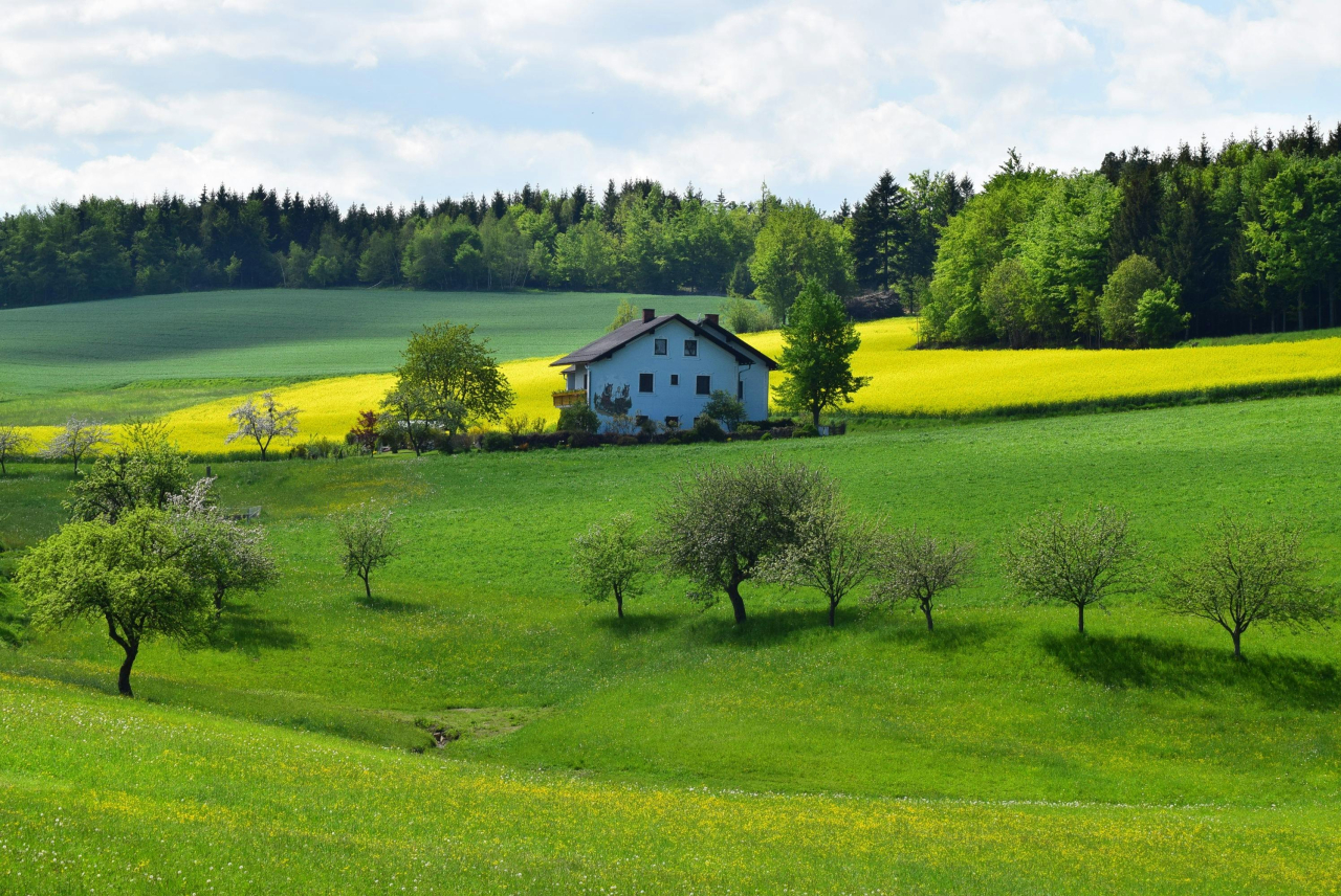 program Czyste Powietrze